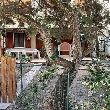 Casa Chaya *