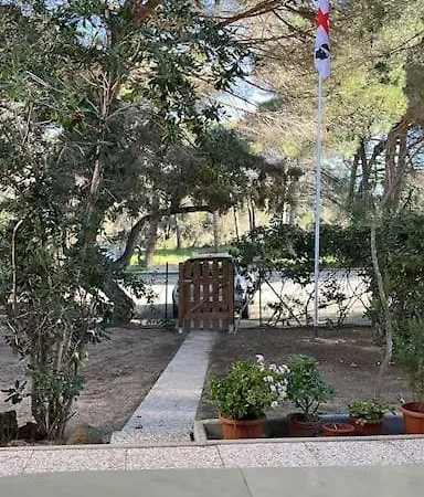 Casa Chaya ソルソ