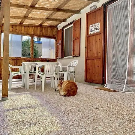 Casa Chaya 公寓 索尔索