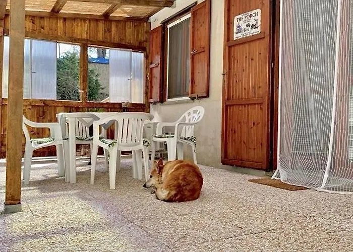 Casa Chaya 公寓 索尔索